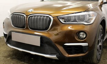 6 549 р. Защитная сетка радиатора в бампер Стрелка 11 Премиум (алюминий)  BMW X1  F48 (2015-2019) дорестайлинг (Цвет: черный)  с доставкой в г. Новочеркасск. Увеличить фотографию 1