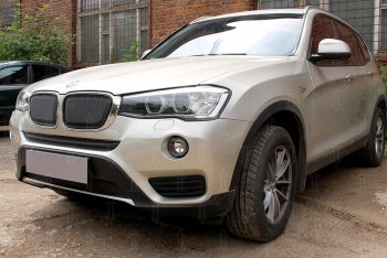 6 649 р. Защитная сетка решетки радиатора Стрелка 11 Премиум (алюминий) BMW X3 F25 рестайлинг (2014-2017) (Цвет: черный)  с доставкой в г. Новочеркасск. Увеличить фотографию 2