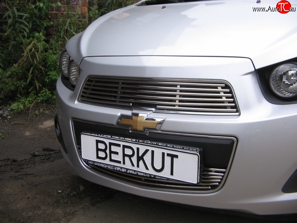 4 399 р. Декоративная вставка решетки радиатора Berkut Chevrolet Aveo T300 хэтчбек (2011-2015)  с доставкой в г. Новочеркасск