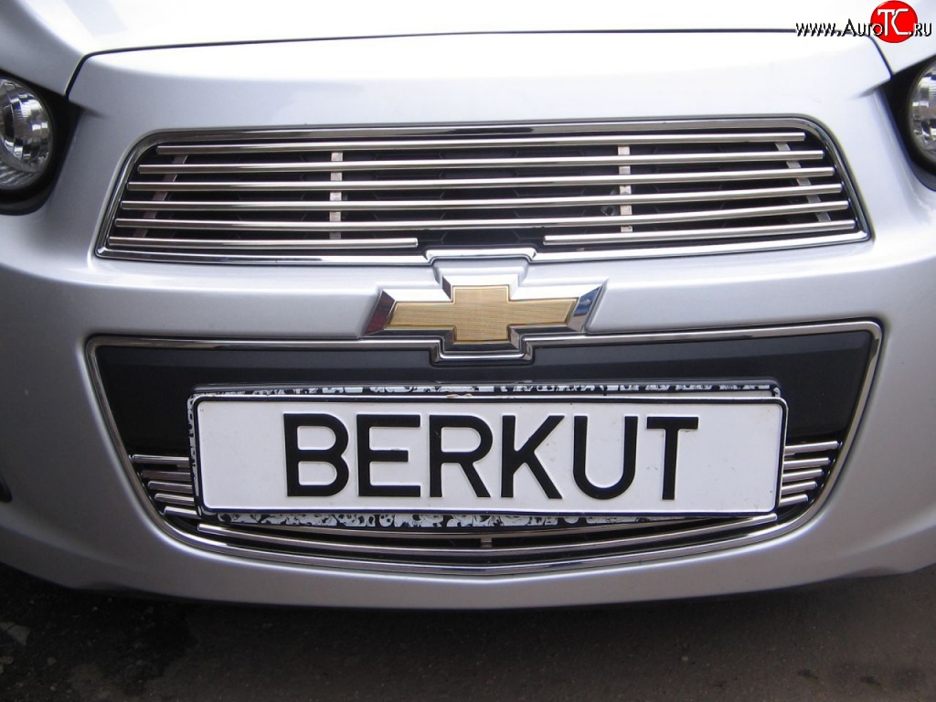 3 999 р. Декоративная вставка воздухозаборника Berkut Chevrolet Aveo T300 седан (2011-2015)  с доставкой в г. Новочеркасск