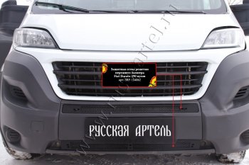 Защитная сетка решетки переднего бампера RA Fiat (Фиат) Ducato (Дукато)  290 (2014-2024) 290