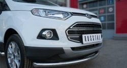 13 799 р. Одинарная защита переднего бампера диаметром 63 мм SLITKOFF Ford EcoSport дорестайлинг (2013-2019)  с доставкой в г. Новочеркасск. Увеличить фотографию 2