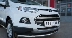 13 799 р. Одинарная защита переднего бампера диаметром 63 мм SLITKOFF Ford EcoSport дорестайлинг (2013-2019)  с доставкой в г. Новочеркасск. Увеличить фотографию 3