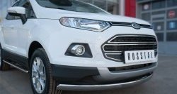 15 649 р. Защита переднего бампера (Ø75х42 мм, нержавейка) Russtal Ford EcoSport дорестайлинг (2013-2019)  с доставкой в г. Новочеркасск. Увеличить фотографию 2