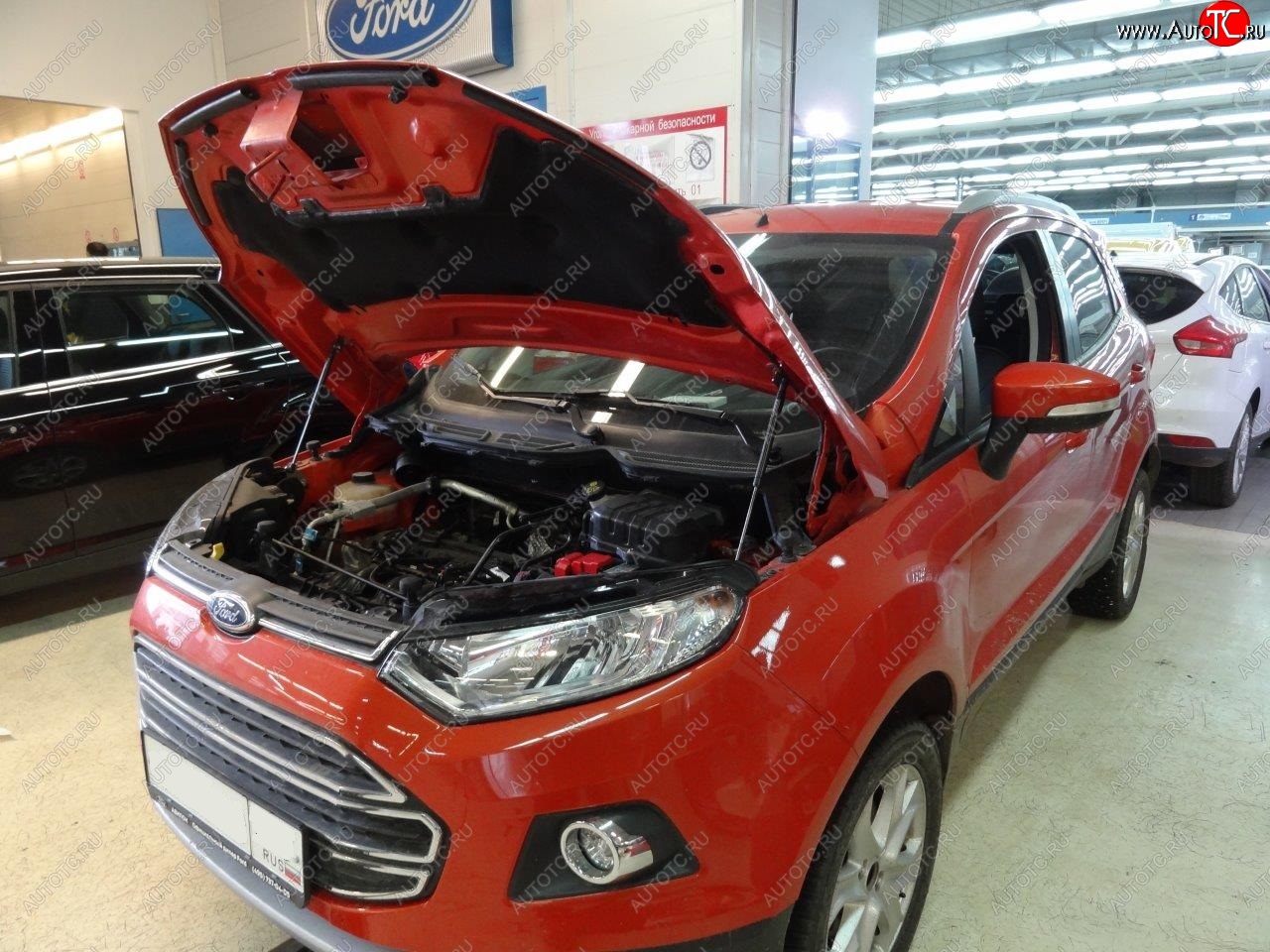 2 299 р. Упоры капота Russtal Ford EcoSport дорестайлинг (2013-2019)  с доставкой в г. Новочеркасск