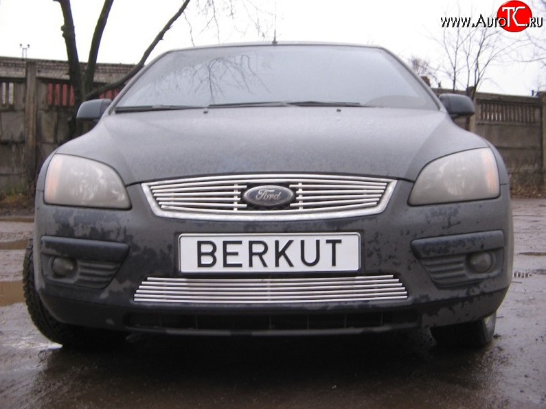 4 999 р. Декоративная вставка решетки радиатора Berkut Ford Focus 2 хэтчбэк 3 дв. дорестайлинг (2004-2007)  с доставкой в г. Новочеркасск