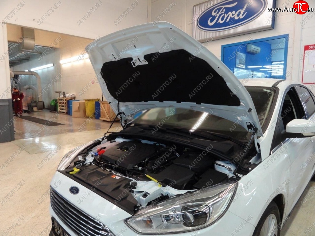 2 199 р. Газовые упоры капота Berkut Ford Focus 3 хэтчбэк дорестайлинг (2010-2015)  с доставкой в г. Новочеркасск