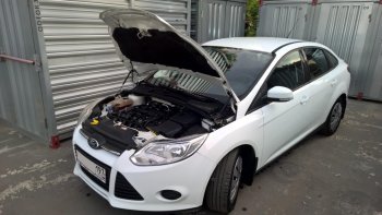 Упоры капота Russtal Ford Focus 3 хэтчбэк дорестайлинг (2010-2015)