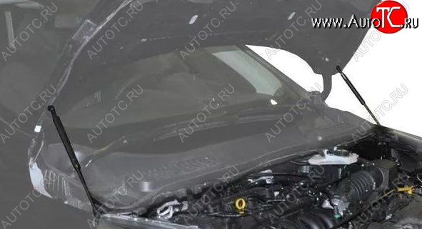 2 199 р. Газовые упоры капота Berkut Ford Kuga 2 рестайлинг (2016-2019)  с доставкой в г. Новочеркасск