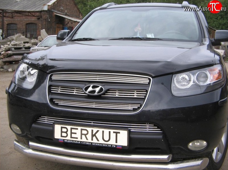 5 999 р. Декоративная вставка решетки радиатора Berkut Hyundai Santa Fe CM дорестайлинг (2006-2009)  с доставкой в г. Новочеркасск