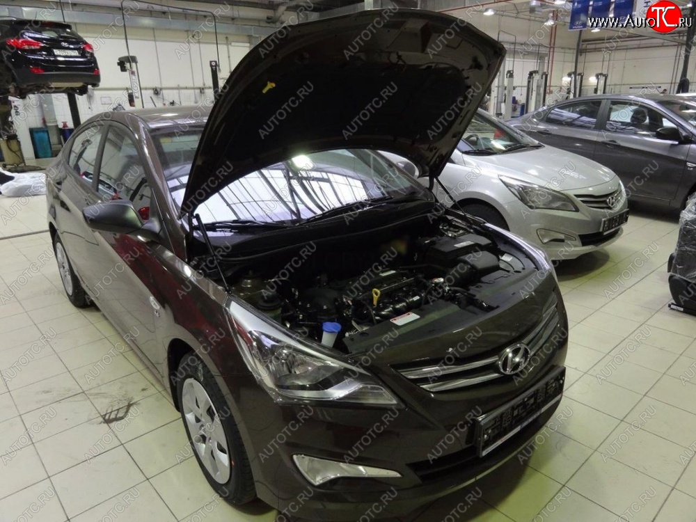 2 199 р. Газовые упоры капота Berkut Hyundai Solaris RBr седан рестайлинг (2014-2017)  с доставкой в г. Новочеркасск