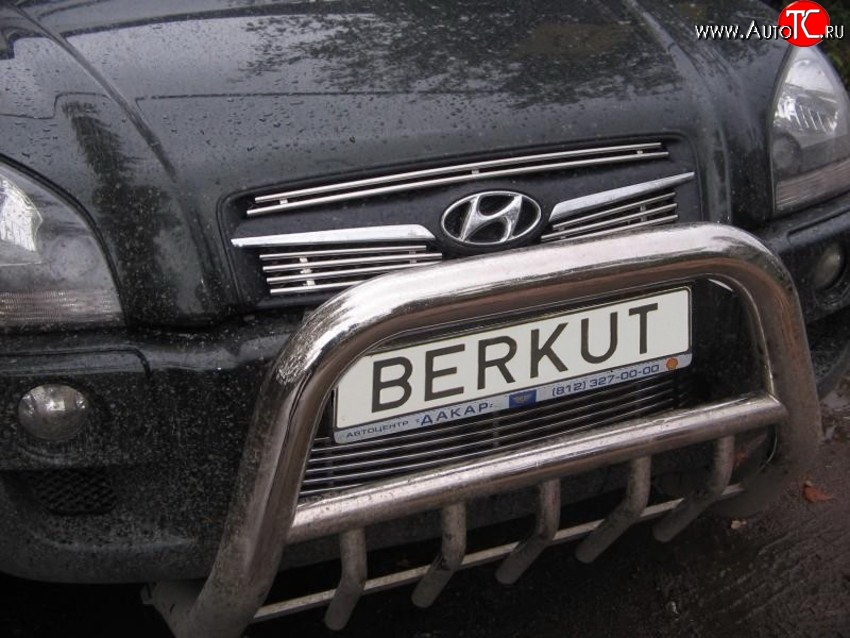 4 799 р. Декоративная вставка воздухозаборника Berkut Hyundai Tucson JM (2004-2010)  с доставкой в г. Новочеркасск