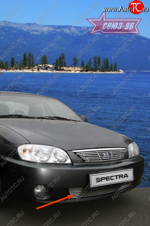 4 049 р. Декоративный элемент воздухозаборника Souz-96 (d10) KIA Spectra (2000-2009)  с доставкой в г. Новочеркасск