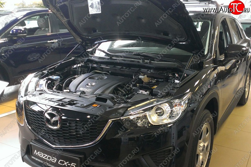 2 199 р. Газовые упоры капота Berkut Mazda CX-5 KE рестайлинг (2015-2017)  с доставкой в г. Новочеркасск