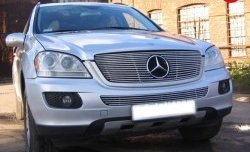 Декоративная вставка решетки радиатора Berkut Mercedes-Benz ML class W164 дорестайлинг (2005-2008)