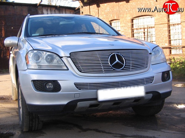 5 399 р. Декоративная вставка воздухозаборника Berkut Mercedes-Benz ML class W164 дорестайлинг (2005-2008)  с доставкой в г. Новочеркасск