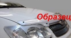 2 199 р. Защита фар CA-Plastik  Mitsubishi Pajero Sport  PB (2008-2013) дорестайлинг (Цвет: прозрачный)  с доставкой в г. Новочеркасск. Увеличить фотографию 6