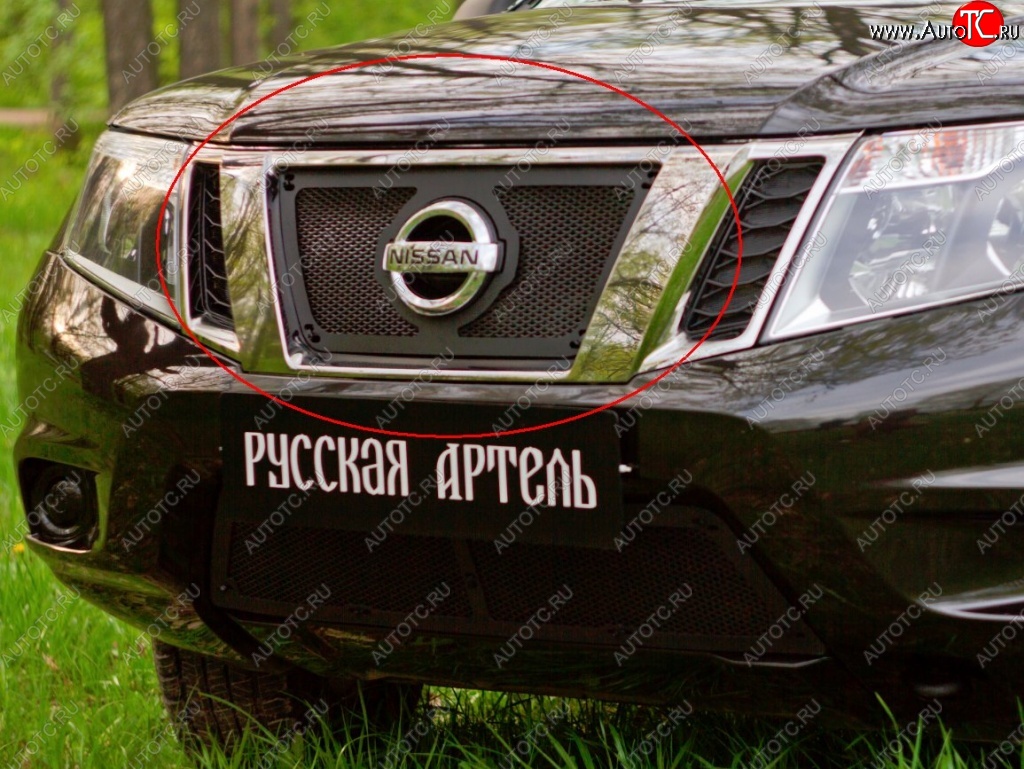 1 379 р. Защитная сетка решетки радиатора РА Nissan Terrano D10 дорестайлинг (2013-2016)  с доставкой в г. Новочеркасск