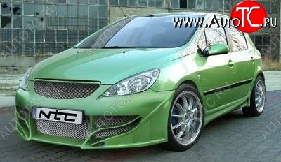 24 499 р. Передний бампер NTC Peugeot 307 универсал дорестайлинг (2001-2005)  с доставкой в г. Новочеркасск