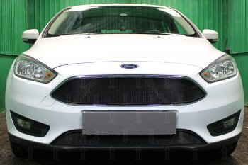 2 769 р. Защитная сетка в бампер (низ, ячейка 3х7 мм) Alfeco Стандарт  Ford Focus  3 (2014-2019) седан рестайлинг, универсал рестайлинг, хэтчбэк рестайлинг (Чёрная)  с доставкой в г. Новочеркасск. Увеличить фотографию 1