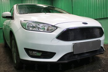 2 769 р. Защитная сетка в бампер (низ, ячейка 3х7 мм) Alfeco Стандарт Ford Focus 3 седан рестайлинг (2014-2019) (Чёрная)  с доставкой в г. Новочеркасск. Увеличить фотографию 2