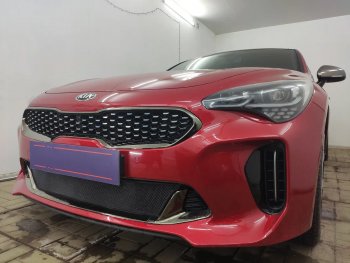 3 899 р. Защитная сетка в бампер (низ, ячейка 3х7 мм) Alfeco Стандарт KIA Stinger (2017-2025) (Чёрная)  с доставкой в г. Новочеркасск. Увеличить фотографию 4