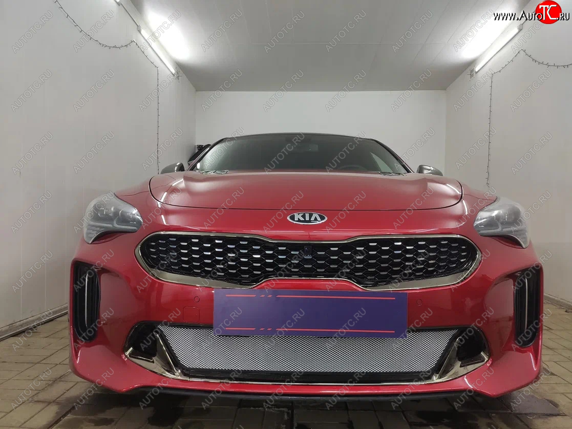 3 999 р. Защитная сетка в бампер (низ, ячейка 3х7 мм) Alfeco Стандарт KIA Stinger (2017-2025) (Хром)  с доставкой в г. Новочеркасск