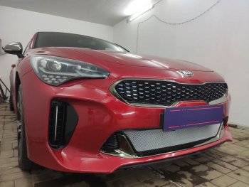 3 999 р. Защитная сетка в бампер (низ, ячейка 3х7 мм) Alfeco Стандарт KIA Stinger (2017-2025) (Хром)  с доставкой в г. Новочеркасск. Увеличить фотографию 3