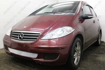 3 199 р. Защитная сетка в бампер (низ, ячейка 3х7 мм) Alfeco Стандарт Mercedes-Benz A class W169 дорестайлинг, хэтчбэк 5 дв. (2005-2008) (Хром)  с доставкой в г. Новочеркасск. Увеличить фотографию 3