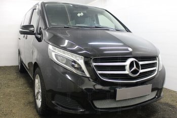 3 199 р. Защитная сетка в бампер (низ, ячейка 3х7 мм) Alfeco Стандарт  Mercedes-Benz Vito  W447 (2015-2020) дорестайлинг (Хром)  с доставкой в г. Новочеркасск. Увеличить фотографию 2