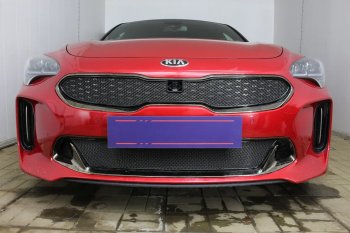 5 999 р. Защитная сетка в бампер (верх, ячейка 4х10 мм) Alfeco Премиум KIA Stinger (2017-2025) (Чёрная)  с доставкой в г. Новочеркасск. Увеличить фотографию 4