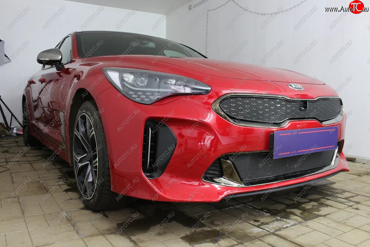 5 999 р. Защитная сетка в бампер (верх, ячейка 4х10 мм) Alfeco Премиум KIA Stinger (2017-2025) (Чёрная)  с доставкой в г. Новочеркасск