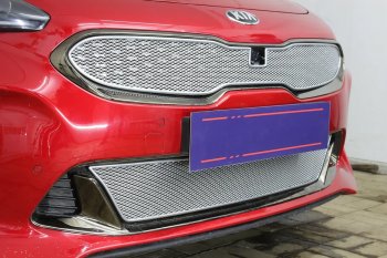 6 299 р. Защитная сетка в бампер (верх, ячейка 4х10 мм) Alfeco Премиум KIA Stinger (2017-2025) (Хром)  с доставкой в г. Новочеркасск. Увеличить фотографию 4