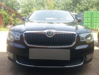 Защитная сетка в бампер (низ, ячейка 4х10 мм) Стрелка11 Премиум Skoda Superb B6 (3T) лифтбэк дорестайлинг (2008-2013)  (Чёрная)