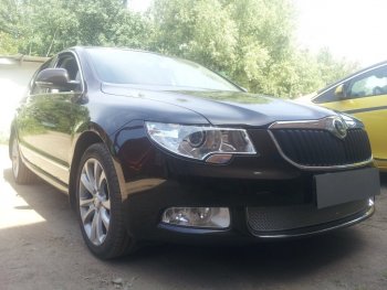 4 299 р. Защитная сетка в бампер (низ, ячейка 4х10 мм) Стрелка11 Премиум Skoda Superb B6 (3T) лифтбэк дорестайлинг (2008-2013) (Хром)  с доставкой в г. Новочеркасск. Увеличить фотографию 2