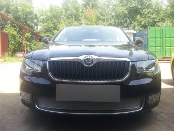 4 299 р. Защитная сетка в бампер (низ, ячейка 4х10 мм) Стрелка11 Премиум Skoda Superb B6 (3T) лифтбэк дорестайлинг (2008-2013) (Хром)  с доставкой в г. Новочеркасск. Увеличить фотографию 1