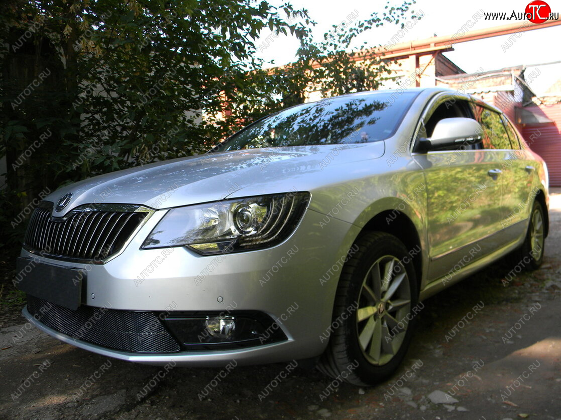 4 599 р. Защитная сетка в бампер (низ, ячейка 4х10 мм) Стрелка11 Премиум Skoda Superb (B6) 3T лифтбэк рестайлинг (2013-2015) (Чёрная)  с доставкой в г. Новочеркасск