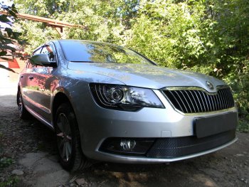 4 599 р. Защитная сетка в бампер (низ, ячейка 4х10 мм) Стрелка11 Премиум Skoda Superb (B6) 3T лифтбэк рестайлинг (2013-2015) (Чёрная)  с доставкой в г. Новочеркасск. Увеличить фотографию 3