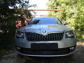 4 599 р. Защитная сетка в бампер (низ, ячейка 4х10 мм) Стрелка11 Премиум Skoda Superb (B6) 3T лифтбэк рестайлинг (2013-2015) (Чёрная)  с доставкой в г. Новочеркасск. Увеличить фотографию 2