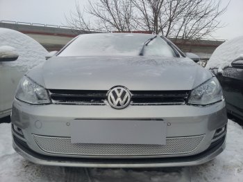 Защитная сетка в бампер (низ, ячейка 4х10 мм) Стрелка11 Премиум Volkswagen Golf 7 рестайлинг, хэтчбэк 5 дв. (2017-2020) ()