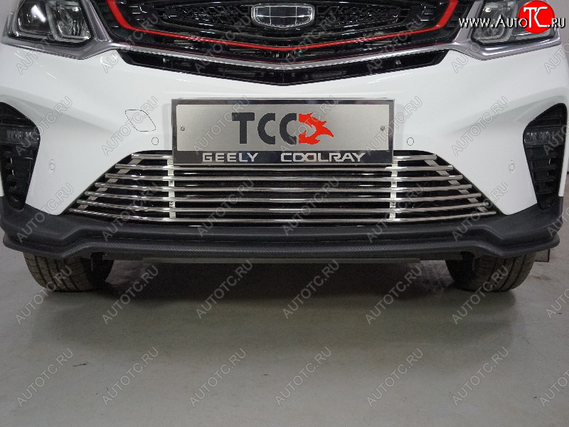 12 749 р. Декоративная вставка в бампер ТСС Тюнинг  Geely Coolray  SX11 (2018-2025) дорестайлинг, рестайлинг (d 12 мм)  с доставкой в г. Новочеркасск