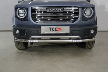 Защита переднего бампера нижняя с ДХО 60,3 мм ТСС Тюнинг Haval (Хавал) Dargo (Дарго) (2022-2025) ()