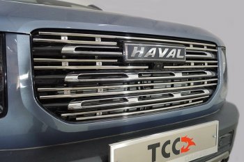 Декоративная вставка в решетку радиатора ТСС Тюнинг Haval (Хавал) Dargo (Дарго) (2022-2025) ()