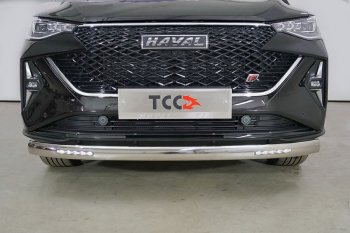 Защита передняя нижняя овальная с ДХО 75х42 мм ТСС Тюнинг Haval (Хавал) F7x (ф7икс) (2022-2024)  рестайлинг  (нержавейка)