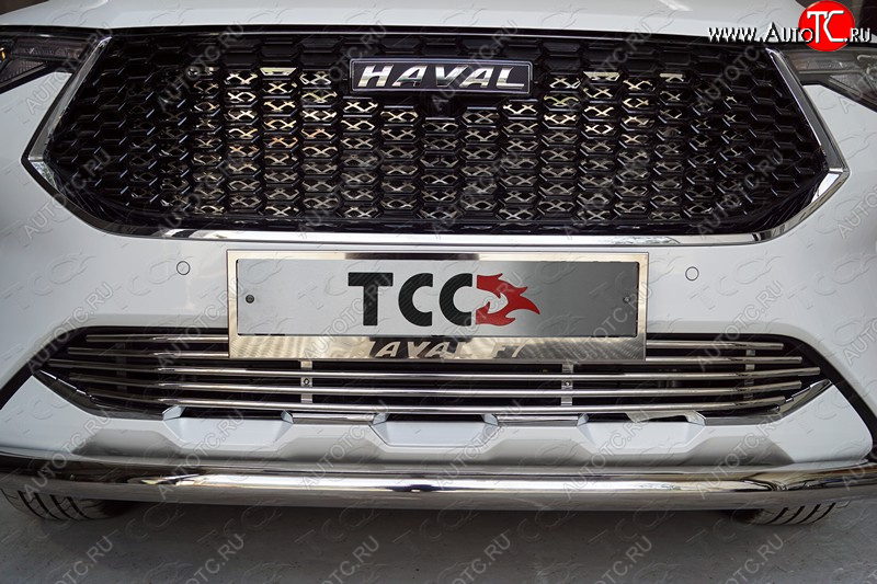 7 699 р. Нижняя декоративная вставка в бампер ТСС Тюнинг  Haval F7 (2018-2022)  дорестайлинг (d 12 мм)  с доставкой в г. Новочеркасск