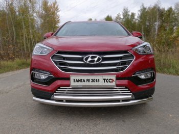 Декоративная вставка решетки радиатора (Premium) ТСС Тюнинг Hyundai (Хюндаи) Santa Fe (Санта)  DM (2015-2019) DM рестайлинг ()