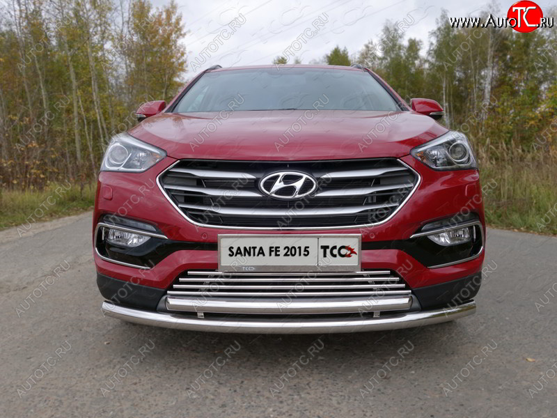 9 349 р. Декоративная вставка переднего бампера (Premium) ТСС Тюнинг  Hyundai Santa Fe  DM (2015-2019) рестайлинг (d 16 мм)  с доставкой в г. Новочеркасск