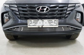 Нижняя декоративная вставка в бампер ТСС Тюнинг Hyundai (Хюндаи) Tucson (Туссон)  NX4 (2020-2022) NX4 ()