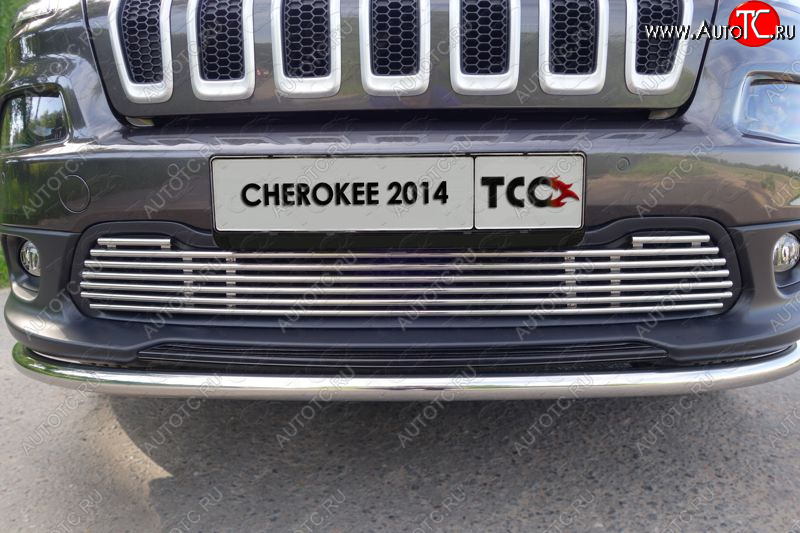 10 799 р. Декоративная вставка решетки радиатора ТСС Тюнинг  Jeep Cherokee  KL (2014-2017) дорестайлинг (d 12 мм)  с доставкой в г. Новочеркасск