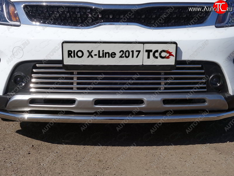 9 349 р. Нижняя декоративная вставка в бампер ТСС Тюнинг  KIA Rio  X-line (2017-2021) (d 12 мм)  с доставкой в г. Новочеркасск